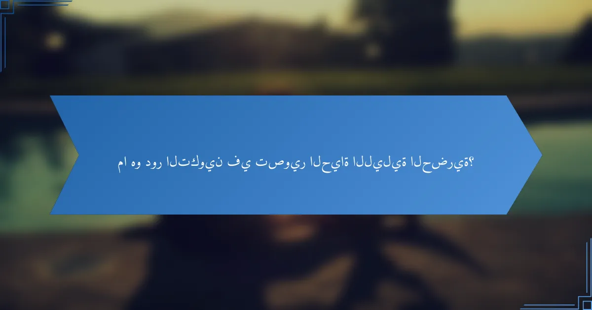 ما هو دور التكوين في تصوير الحياة الليلية الحضرية؟