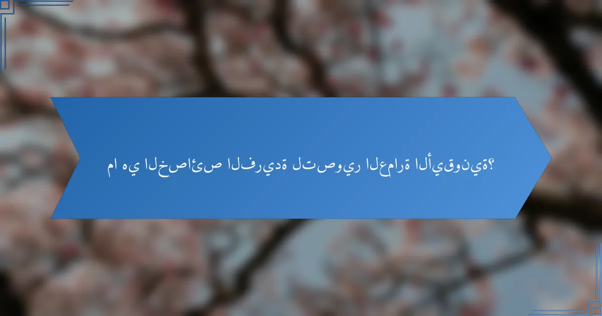 ما هي الخصائص الفريدة لتصوير العمارة الأيقونية؟