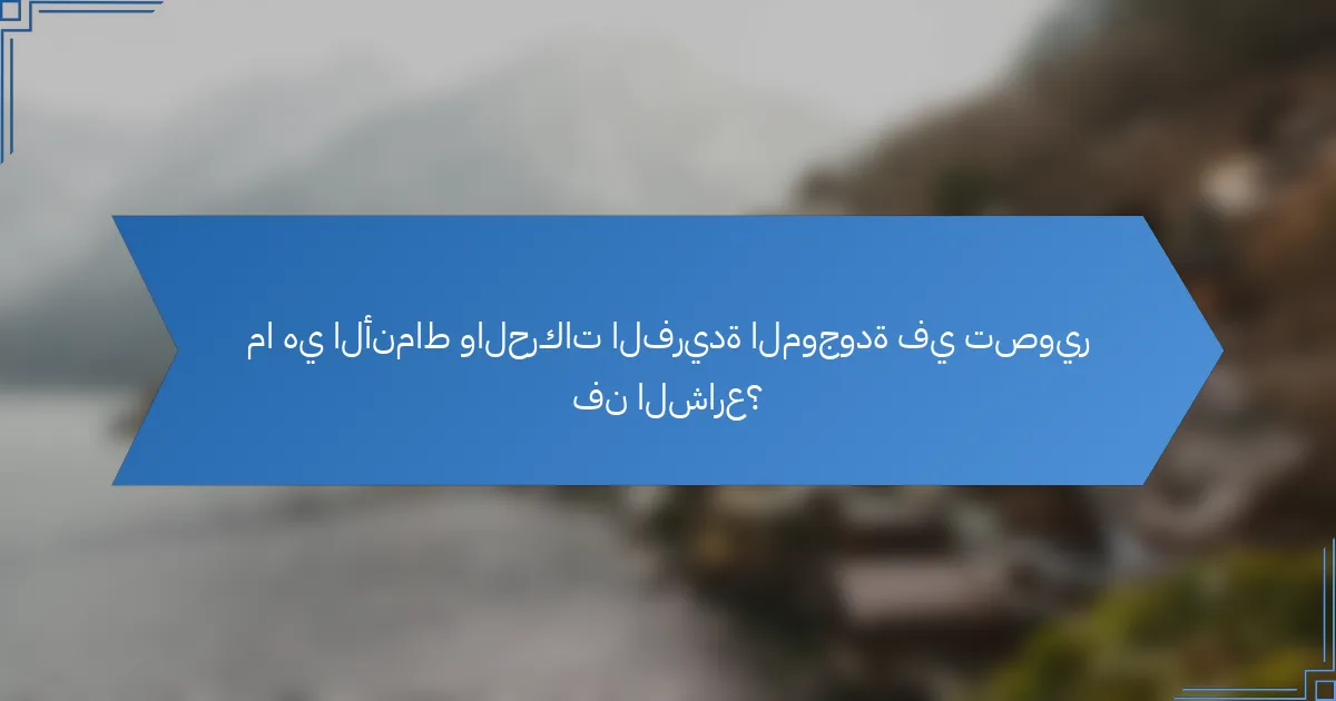 ما هي الأنماط والحركات الفريدة الموجودة في تصوير فن الشارع؟