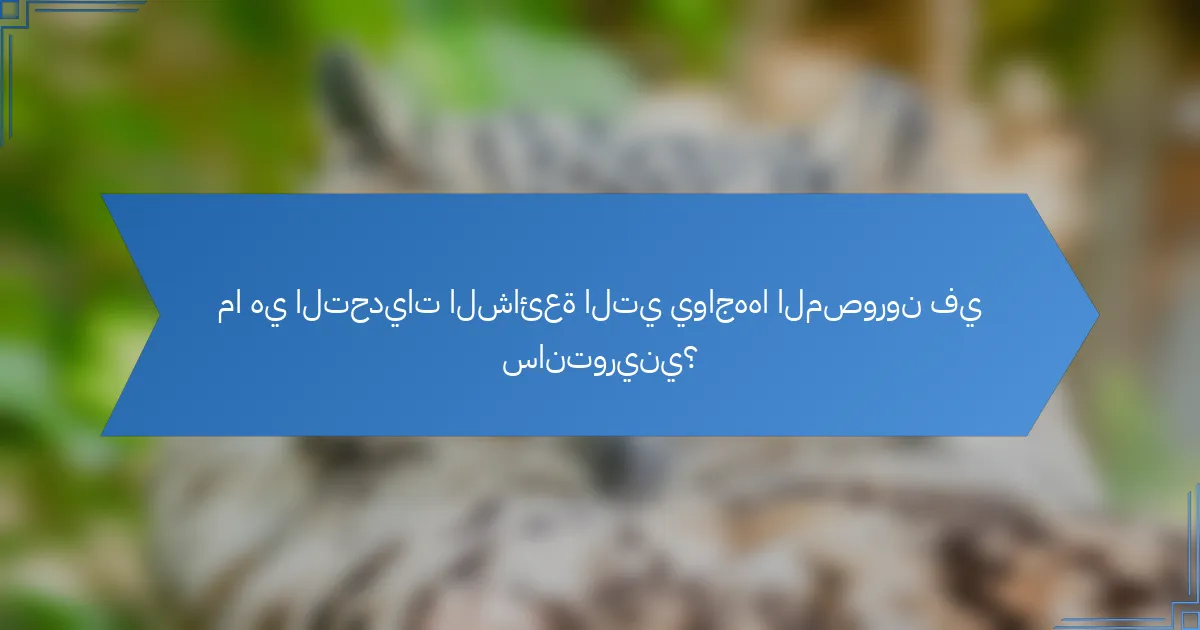 ما هي التحديات الشائعة التي يواجهها المصورون في سانتوريني؟