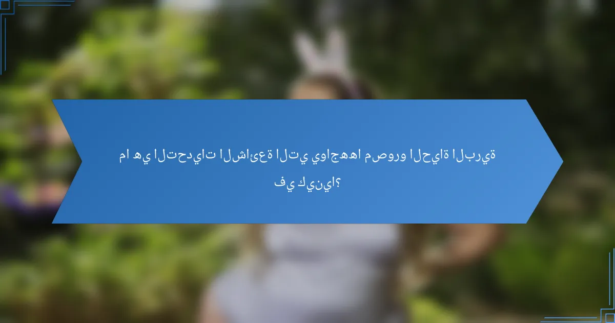 ما هي التحديات الشائعة التي يواجهها مصورو الحياة البرية في كينيا؟