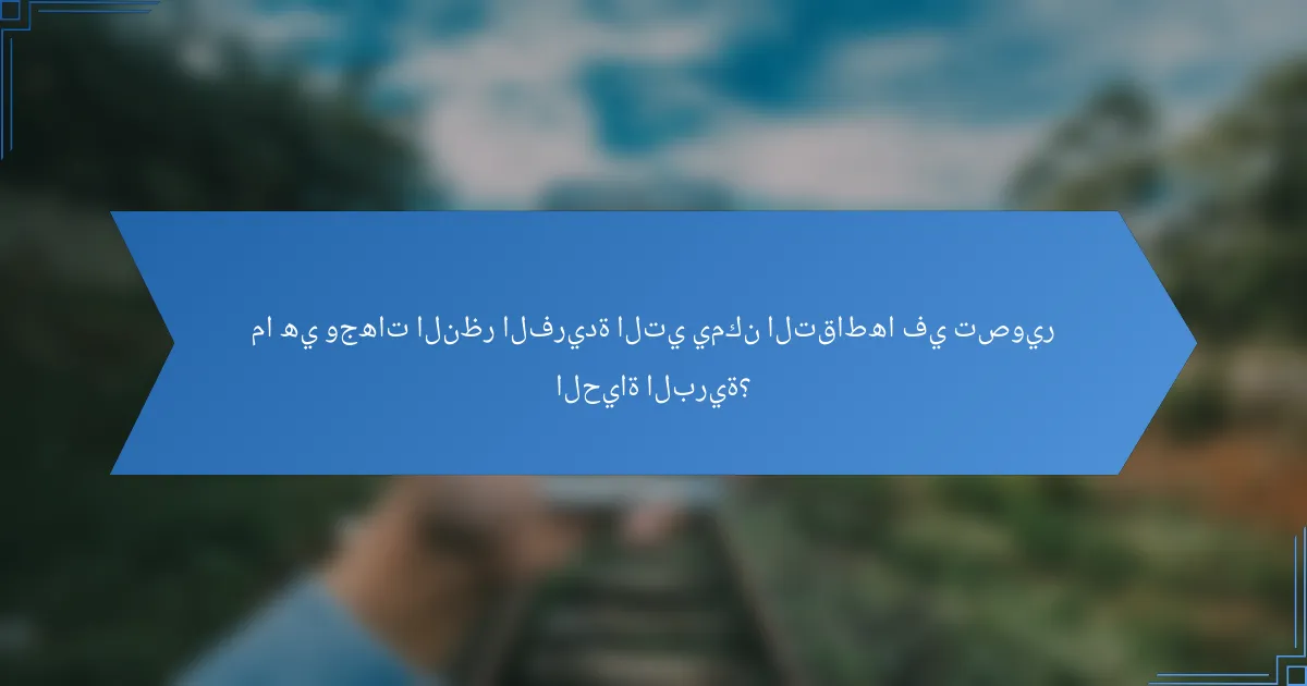 ما هي وجهات النظر الفريدة التي يمكن التقاطها في تصوير الحياة البرية؟