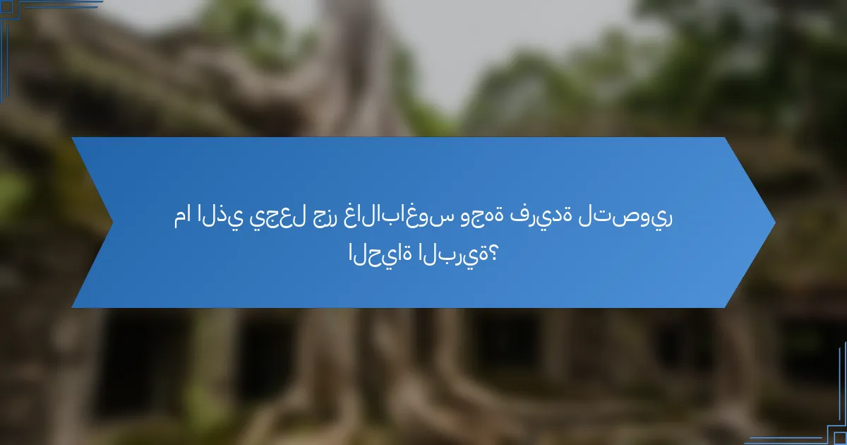ما الذي يجعل جزر غالاباغوس وجهة فريدة لتصوير الحياة البرية؟