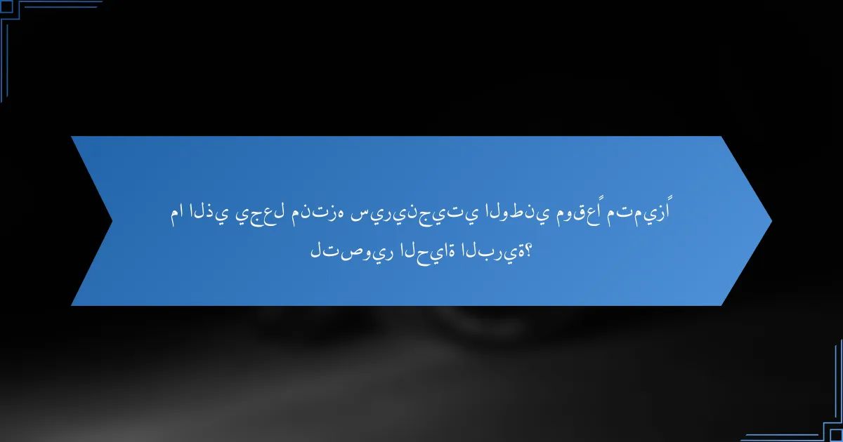 ما الذي يجعل منتزه سيرينجيتي الوطني موقعًا متميزًا لتصوير الحياة البرية؟